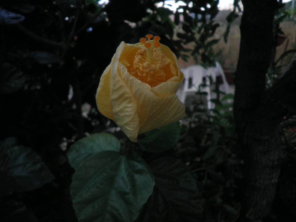 Appartamenti By The Hill Fertilia Ngoại thất bức ảnh