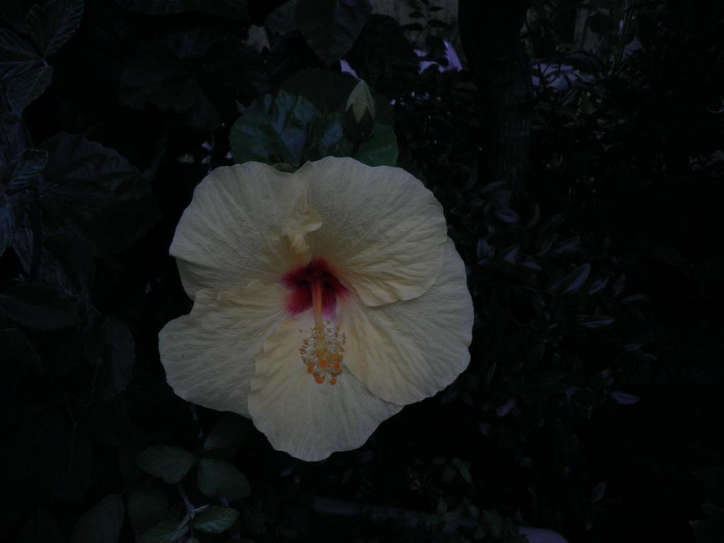 Appartamenti By The Hill Fertilia Phòng bức ảnh