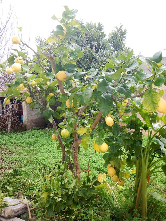Appartamenti By The Hill Fertilia Ngoại thất bức ảnh